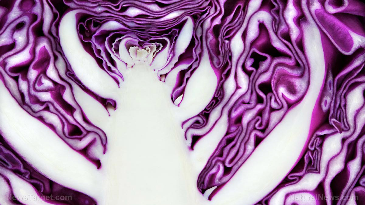 8 Good reasons to add purple cabbage to your diet