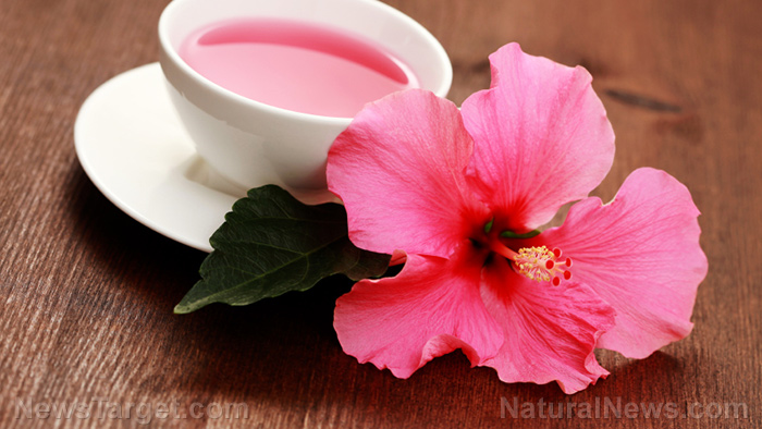 8 Good reasons to drink hibiscus tea (recipe included)