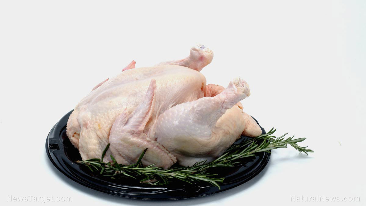 No fowl play: Chicken could reduce breast cancer risk when used to replace beef