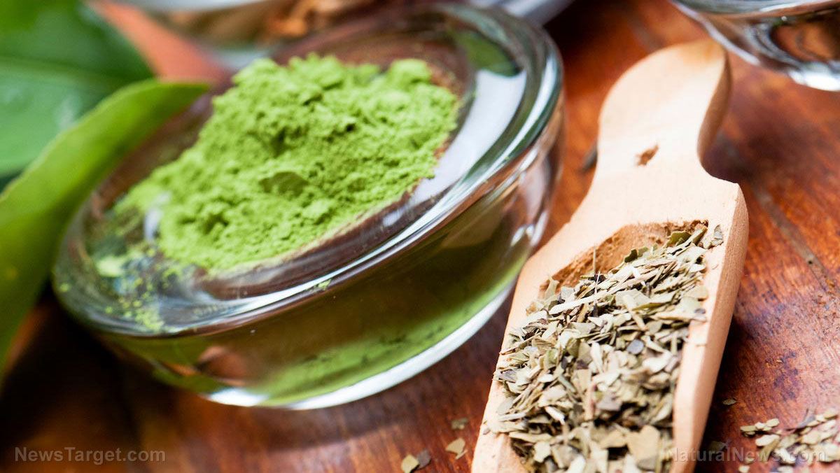7 Reasons to drink more green tea, a healthy beverage full of antioxidants