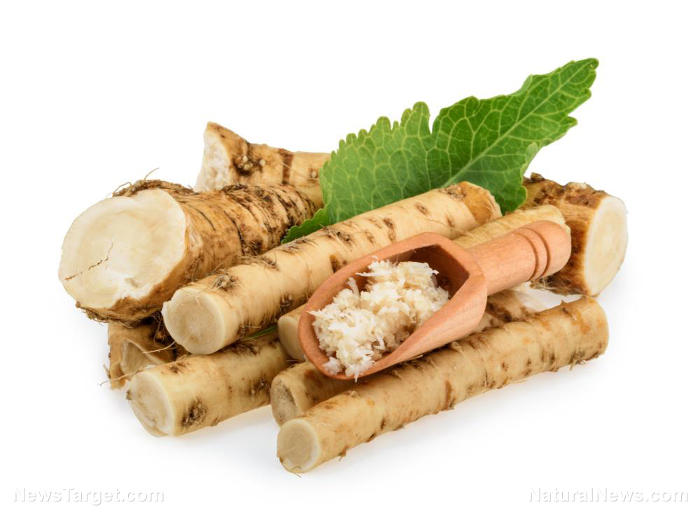 Spicy! 3 reasons to include healthy horseradish in your diet