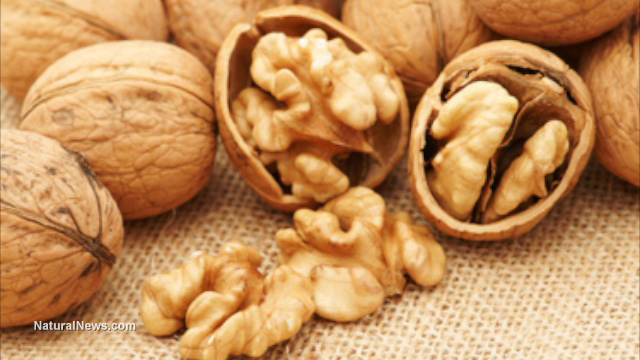 Food for the gut: Snack on walnuts to calm an inflamed colon