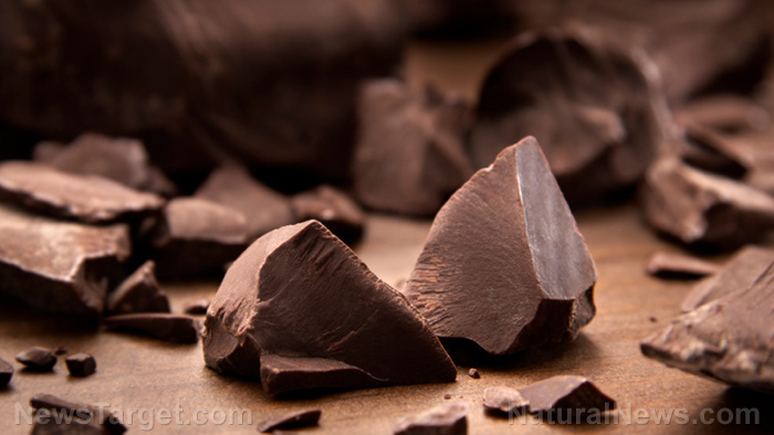 Dark chocolate helps protect against cognitive decline