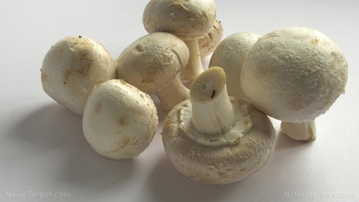 Boost longevity with button mushrooms, an antioxidant-rich superfood that fights aging