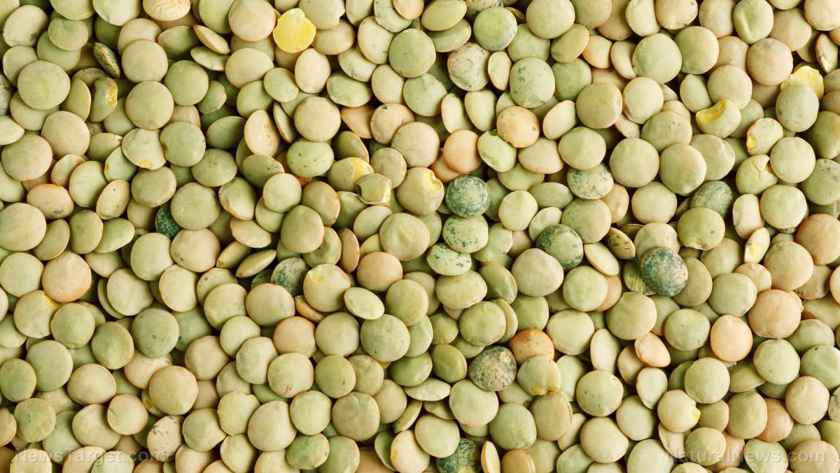Lentils help lower cancer risk (recipe included)