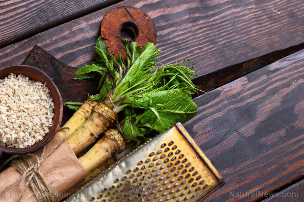 The nice spice (with a kick): Horseradish, a spicy superfood full of nutrients