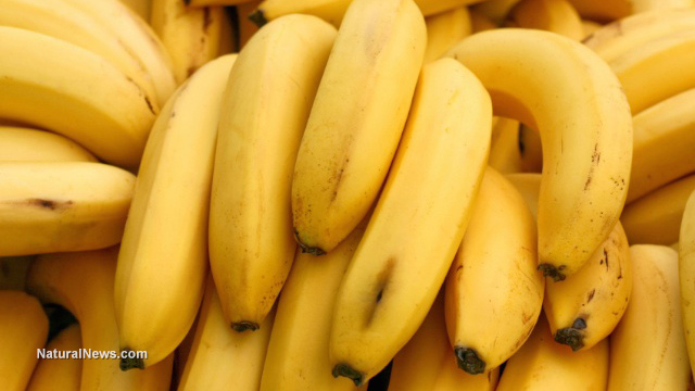 8 Good reasons to eat a banana today (recipe included)