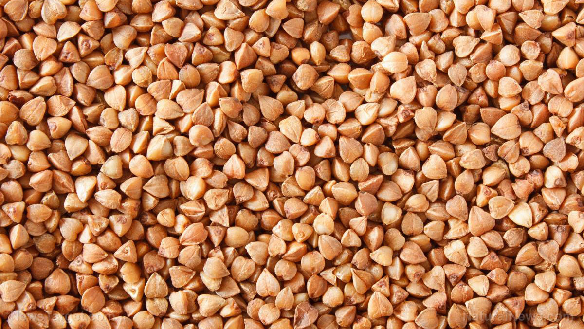 4 Powerful health benefits of buckwheat (plus recipes)