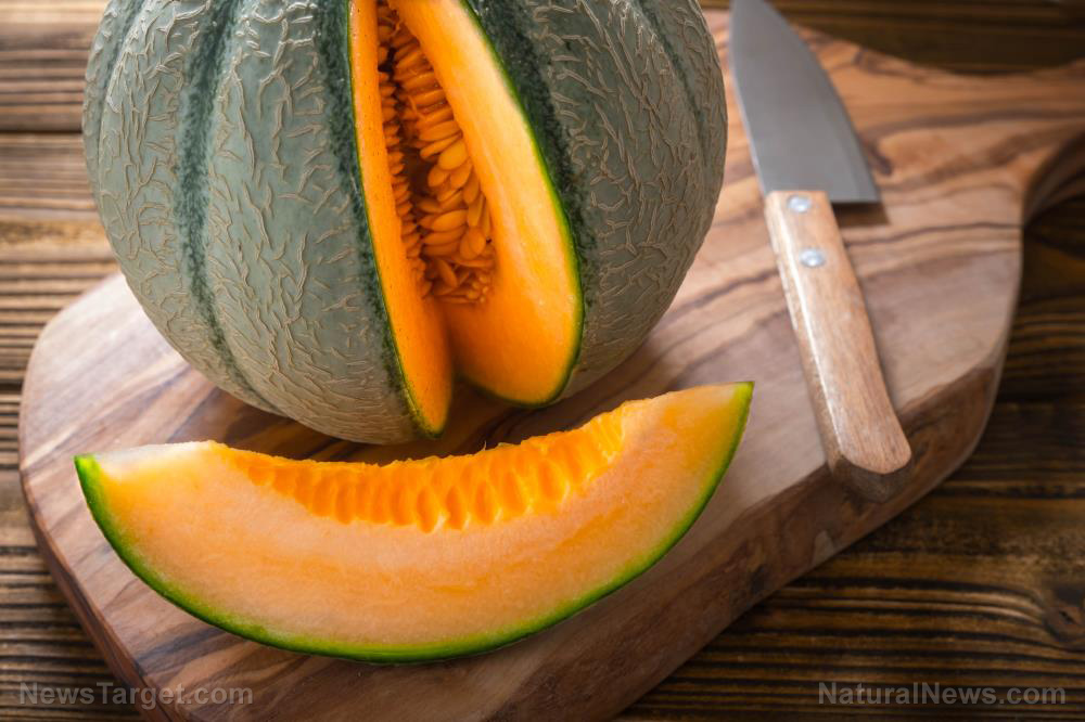 Home gardening basics: How to grow and harvest cantaloupe