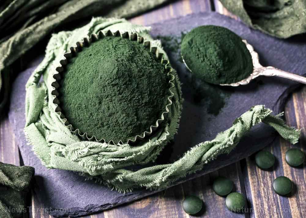 Spirulina offers benefits for people with Parkinson’s disease