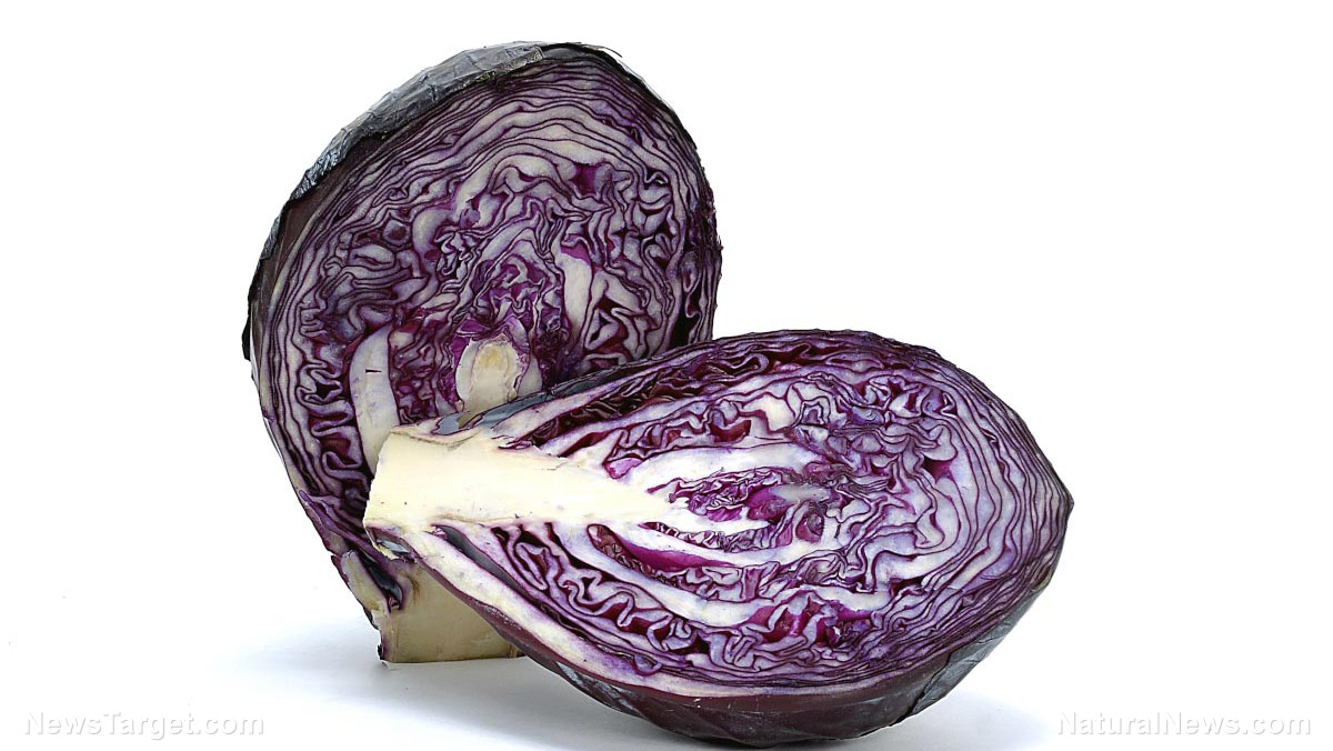 6 Benefits of red cabbage, a versatile veggie (recipes included)