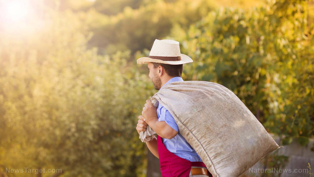 What is the right amount of nitrogen in agriculture? Not enough contributes to hunger, too much damages the environment