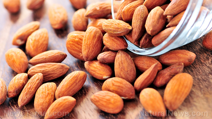 Snacking on almonds regularly found to boost good cholesterol levels