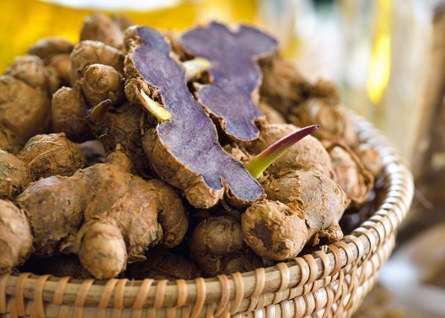 Certain symptoms of knee osteoarthritis can be reduced with Thai black ginger