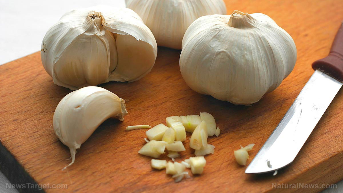 Spices and memory: Is garlic the key to improving cognitive health among the elderly?