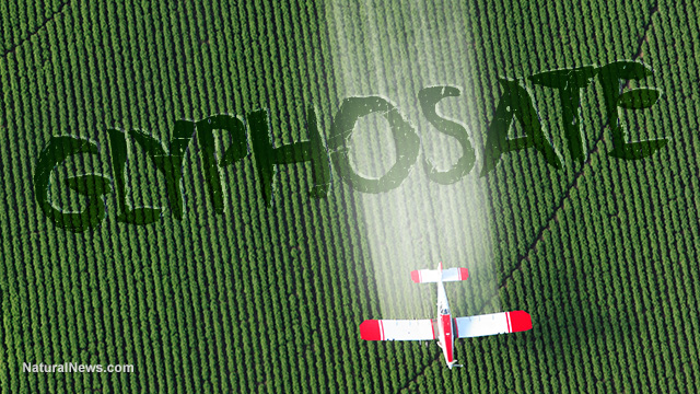 Major U.S. brands demand EPA take action to stop pre-harvest spraying of toxic glyphosate on food crops