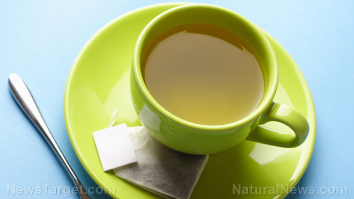 Drink green tea to improve gut health and fight obesity