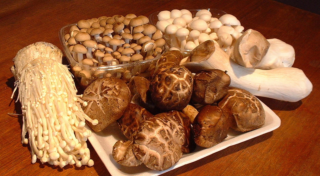 Mushrooms are on the longevity diet: A look at the varieties you should be eating and their health benefits