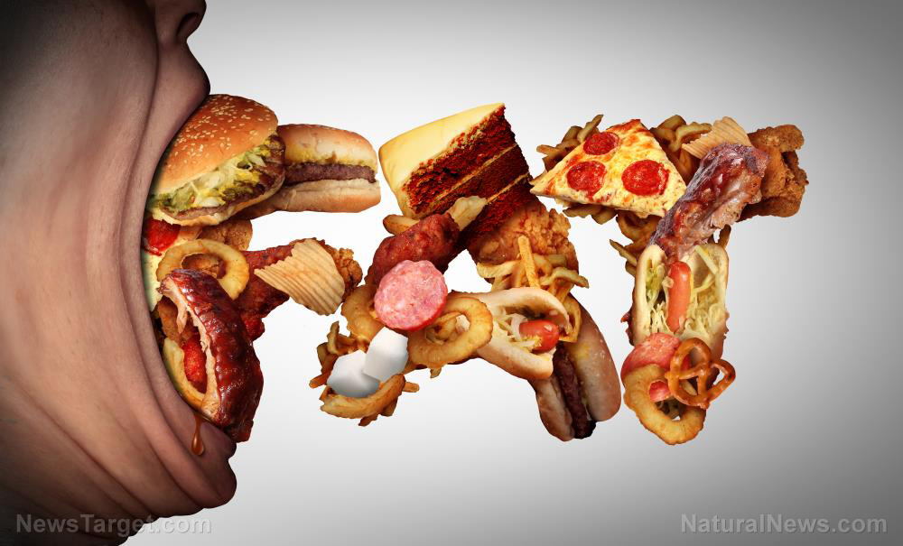 Deadly diet: Study finds high-fat, high-sugar Western diet increases risk of sepsis, death