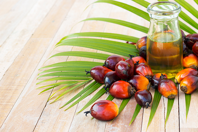 BAD POLICY: Indonesia LIFTS BAN on palm oil exports as domestic cooking oil prices plunge