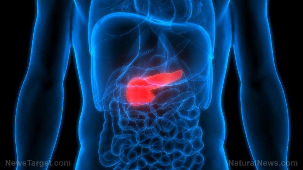 Nutrition-based treatments for your pancreas