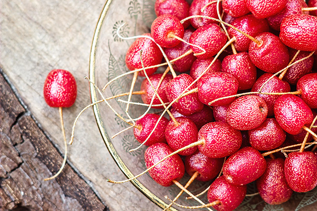 New study looks at the anti-diabetes potential of autumn olive