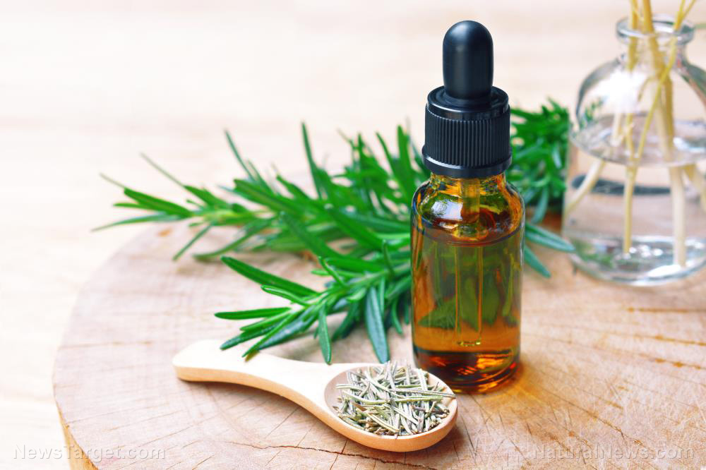 Researchers find you can manage your cholesterol levels with ginger and rosemary oil