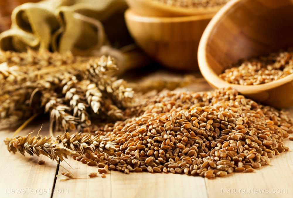 Follow a fiber-rich diet to lower your risk of non-communicable diseases, says study