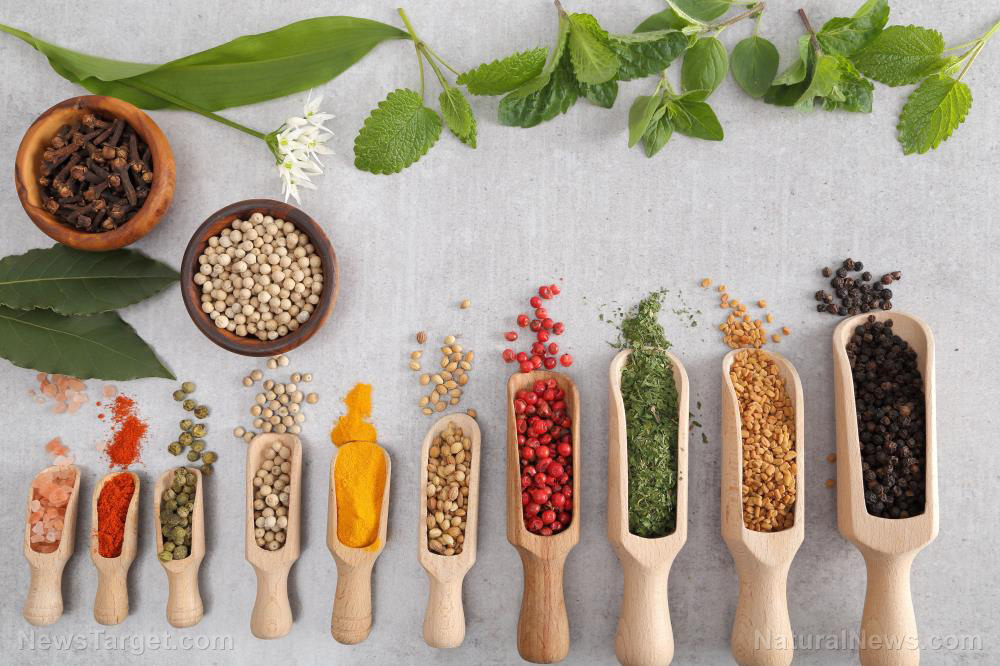 Spices add health benefits as well as flavor; if you’re new to using them, start with these