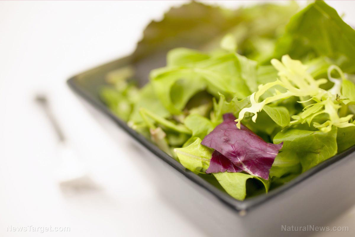 Salad makes your brain younger: The nutrient boost improves memory, prevents dementia, study finds