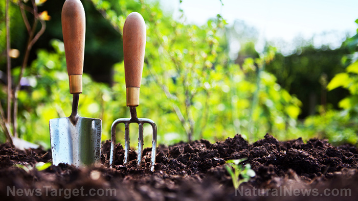 Mittleider gardening method boosts yield in a cost-efficient way
