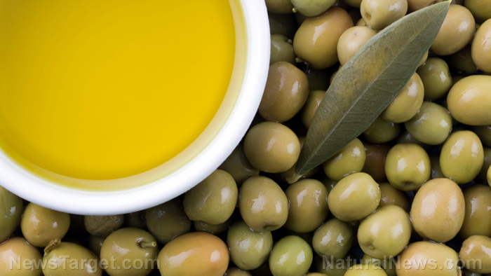 Regular olive oil consumption found to reduce mortality risk