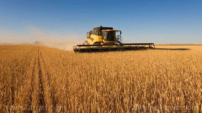 Food crisis looms: Sanctions against Russia threaten global food security
