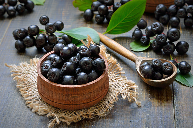 Move over blueberries, the chokeberry contains high concentrations of antioxidants that protect your brain from damage