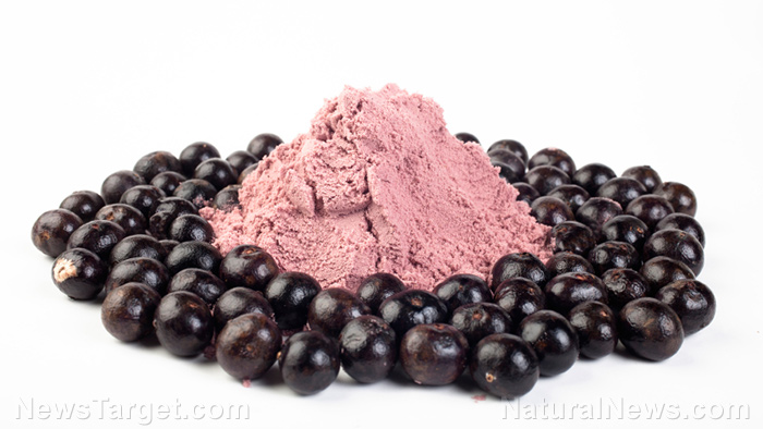 Polyphenols in acai found to have a prebiotic effect that boosts digestive health