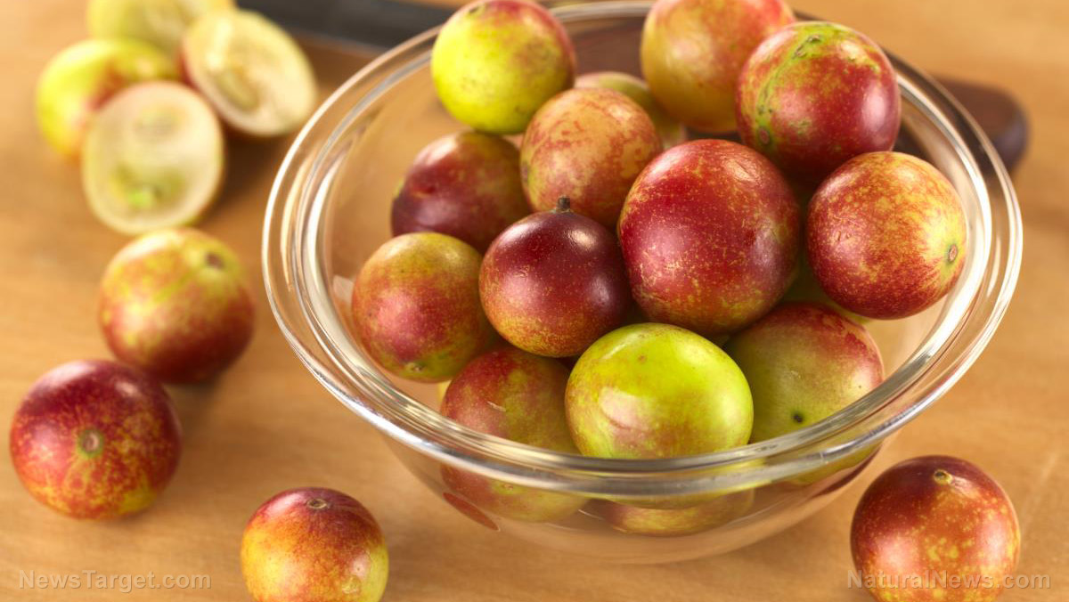 Study: Exotic fruit camu camu can help speed up metabolism and improve gut health
