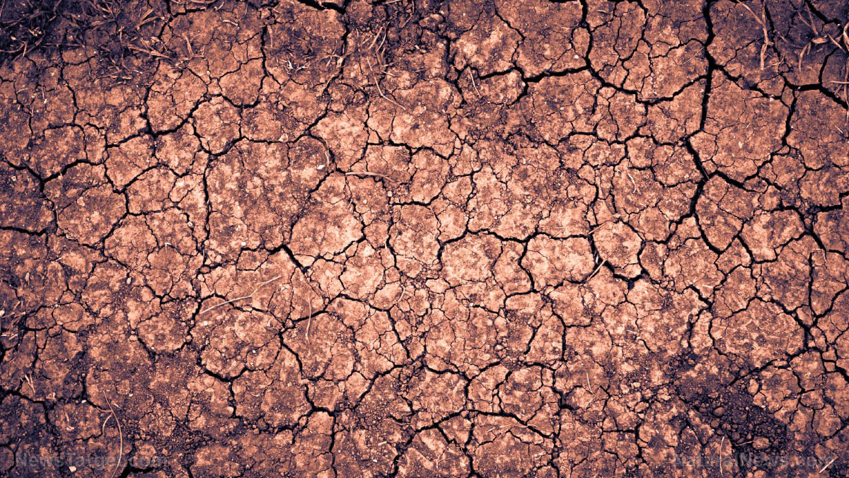 Leaked documents foreshadow 50% CROP FAILURES across England due to extreme drought