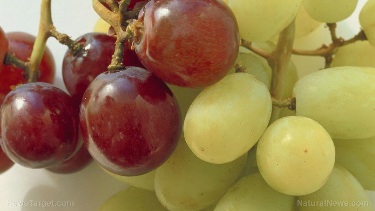 Study: Resveratrol, a compound found in grapes, can protect against cognitive decline