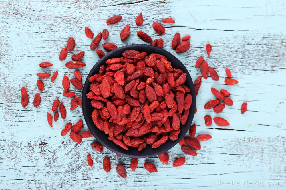 Study: Goji berries boost eye health, help prevent vision problems, study concludes