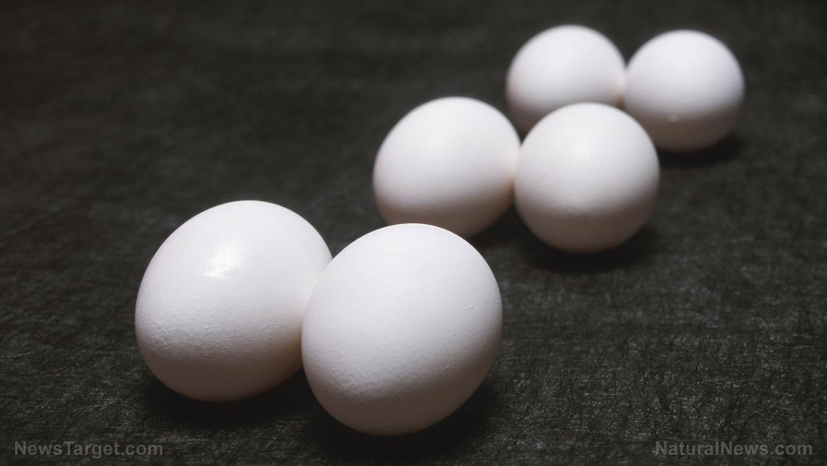 Will UK egg shortages blamed on “avian flu” eventually come to North America?