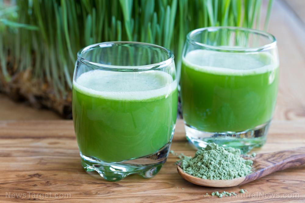 Beneficial enzymes in barley grass can boost gut health and protect against cancer