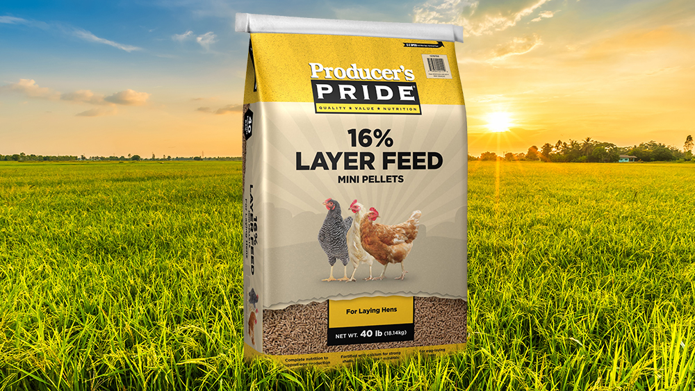 EXCLUSIVE: Natural News releases lab test results of Tractor Supply “Producer’s Pride” chicken feed (and five other chicken feed products)