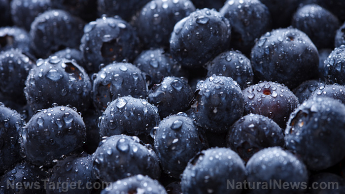 RESEARCH: Just a handful of blueberries a day can help improve brain function and lower blood pressure
