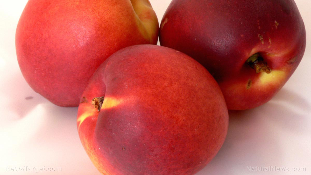 Peaches, plums from HMC Farms recalled from grocery shelves due to listeria outbreak