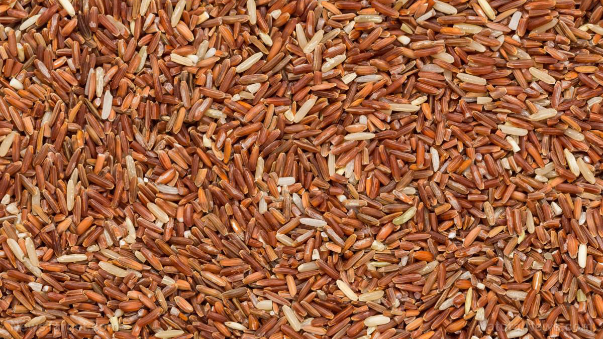 Brown rice is a nutrient-dense food that can lower cholesterol levels and prevent the formation of blood clots