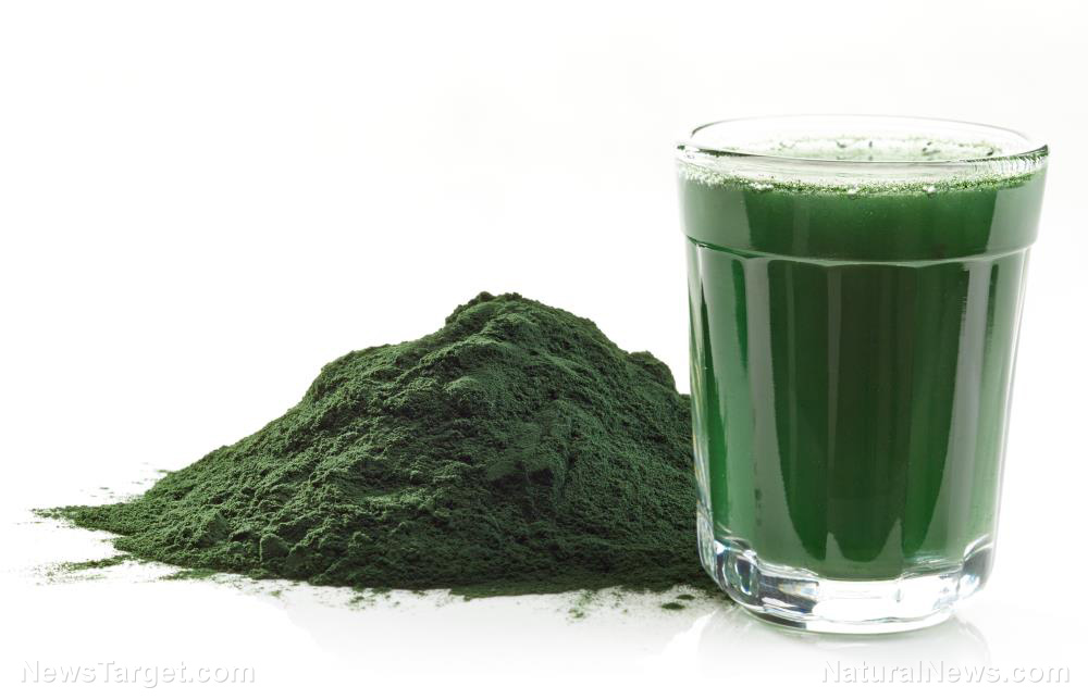 Do rumored spirulina benefits stand up to the scrutiny of science? Experts agree with a resounding YES