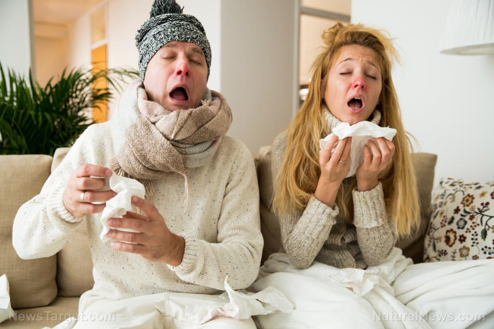 5 Herbal remedies for the common cold and flu