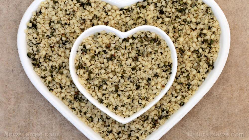 Fiber nourishes the gut microbiome, protecting the blood and fortifying the brain against crippling dementia