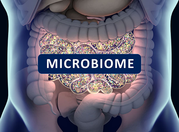 Gut microbiome study reveals key dietary strategies to combat harmful bacteria