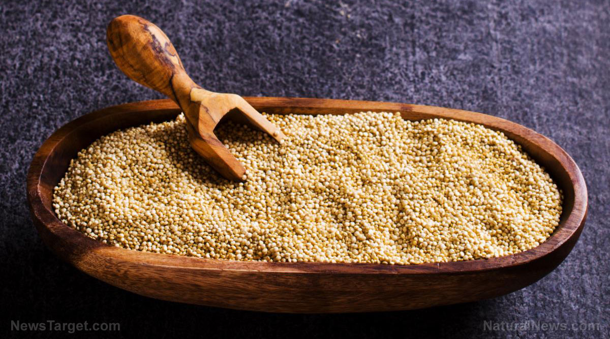 Replacing refined carbs with quinoa helps control blood sugar, study finds